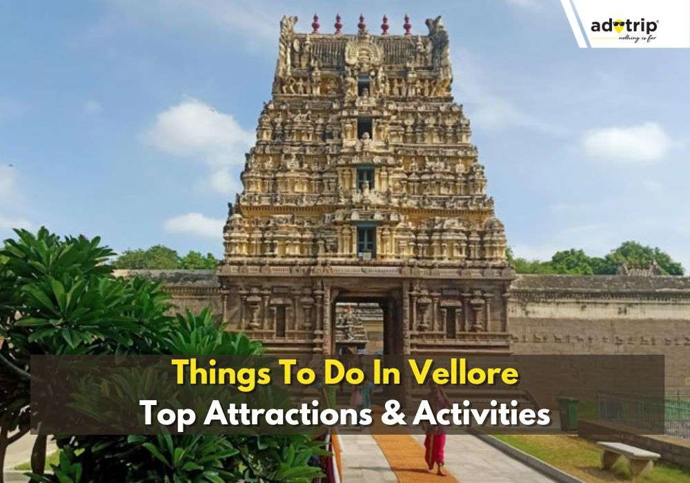 Things To Do In Vellore 